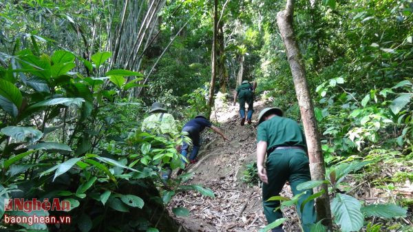 Các lực lượng phối hợp kiểm tra bảo vệ rừng.