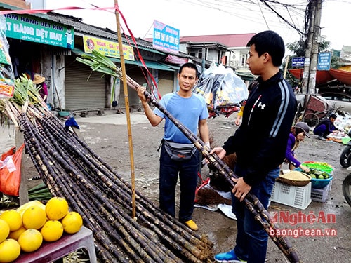 Mía đỏ bán tại chợ Quán Lau- TP Vinh. Ảnh Quang An