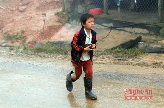 Một em bé ôm cú gà con đi trong mưa mù.