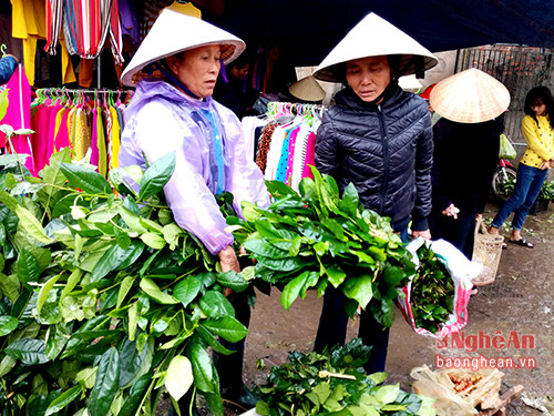 Chè xanh được bán nhiều ở chợ, nhiều người tìm mua cất trữ sử dụng trong những ngày Tết. Ảnh Quang An