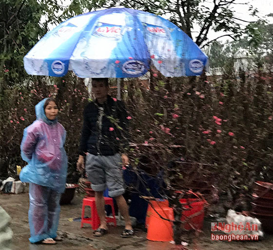 Thời tiết cận Tết ở Tp Vinh năm nay có mưa kéo dài nên nhiều người bán đã cẩn thận dựng ô và mặc áo mưa để đảm bảo hoạt động buôn bán trong điều kiện thời tiết không thuận lợi.