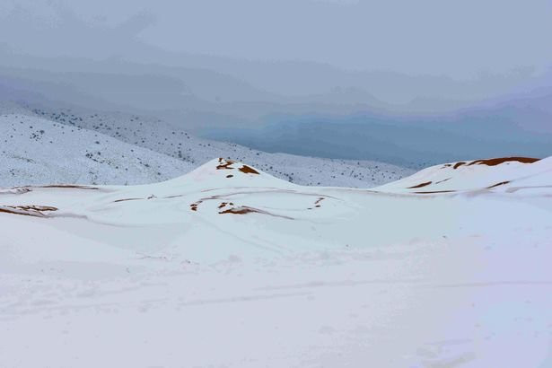 Cát nằm lấp ló trong tuyết tạo nên hình ảnh lạ lùng - Ảnh: Zineddine Hashas/Geoff Robinson Photography