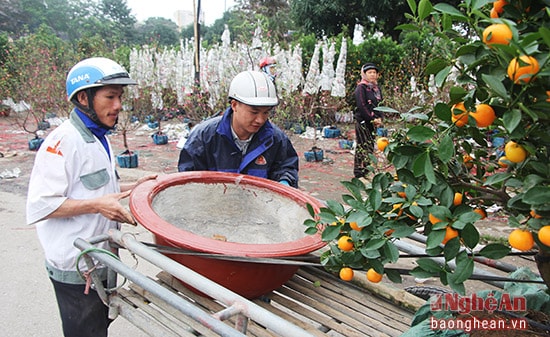 Anh Nguyễn Văn Mạnh (28 tuổi) cùng em họ nhận chở thuê cây cảnh cho khách hàng hơn một tuần qua. “Mỗi lần chở thuê có giá từ 50.000 đồng - 200.000 đồng, tùy thuộc vào quãng đường từ chợ hoa đến địa điểm khách hàng”, anh Mạnh nói.