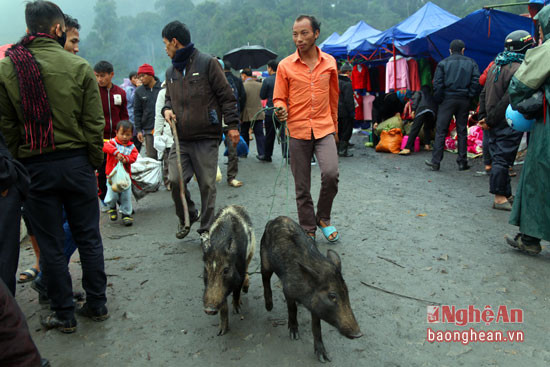 Đối với người dân 2 nước Việt - Lào, chợ biên giới ngày cuối năm là 1 ngày vui để mọi người sắm sửa các mặt hàng ưa thích về đón Tết.