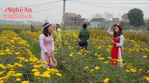 Các thiếu nữ diện áo dài tạo dáng chụp ảnh tại làng hoa. Ảnh Tiến Dũng