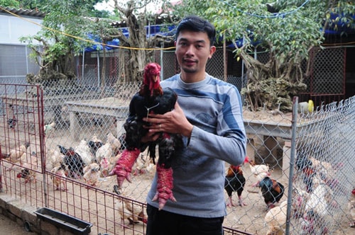 ngam cap ga dong tao co doi chan dep nhat viet nam hinh anh 8