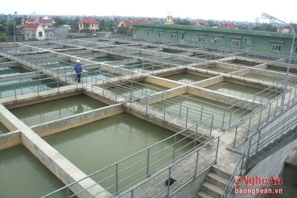 Hệ thống bể hợp khối Nhà máy nước Hưng Vĩnh công suất 60.000 m3/ngày.