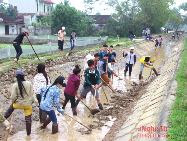 Công ty TNHH MTV Thuỷ lợi Bắc kết hợp huy động sức dân nạo vét các tuyến kênh mương ở huyện Quỳnh Lưu.