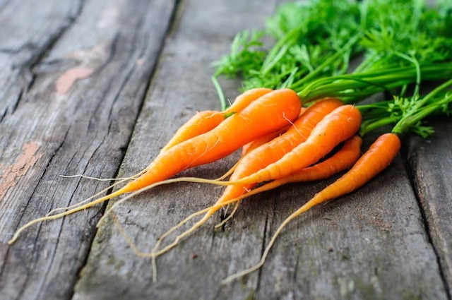 Thành phần chất xơ dồi dào trong cà rốt giúp thúc đẩy quá trình tiêu hóa, cải thiện tình trạng hoạt động dạ dày. Bên cạnh đó, cà rốt còn bổ máu, làm sáng mắt, đẹp da.
