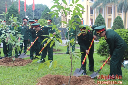 Cán bộ, chiến sỹ Sư đoàn 324 tham gia Tết trồng cây Xuân Đinh Dậu năm 2017.