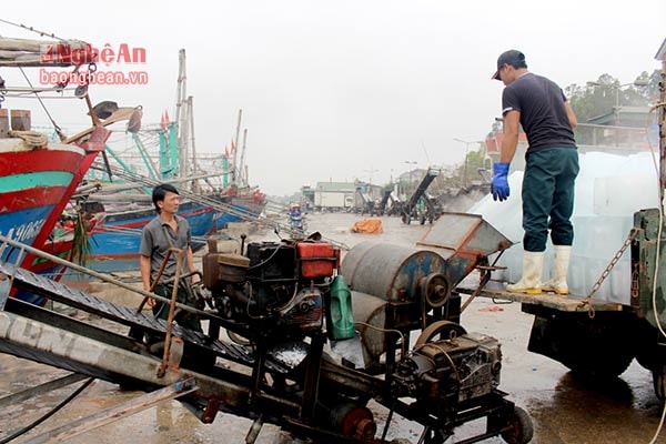 Ngư dân chuyển đá lạnh lên thuyền cho chuyến ra khơi. Ảnh Việt Hùng