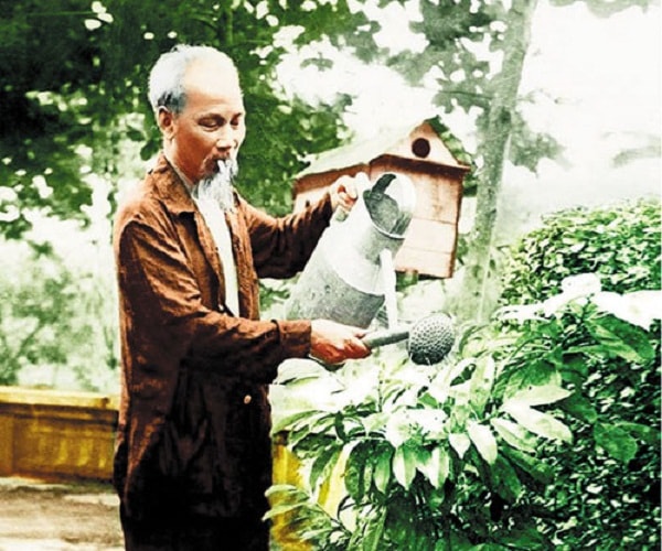Sinh thời Bác Hồ luôn yêu và gần gũi với thiên nhiên.