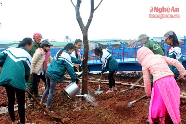 Cán bộ, nhân dân và học sinh huyện Nghi Lộc tham gia Tết trồng cây. Ảnh Nguyên Sơn 