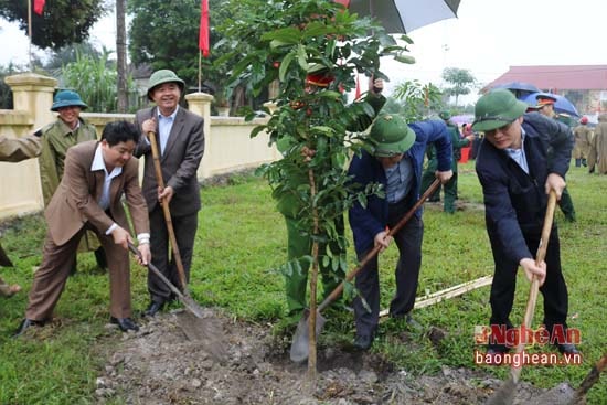 Dự kiến trong dịp tết trồng cây năm nay toàn huyện Anh Sơn sẽ trồng trên 20 ngàn cây xanh các loại.