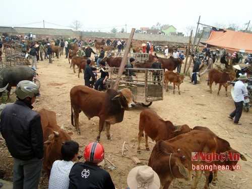 1. Mỗi tháng chợ có 9 phiên vào các ngày 2, 6, 9, 12, 16, 19, 22, 26, 29 âm lịch, riêng tháng Giêng chợ bắt đầu từ ngày mồng 6 Tết. Mặc cho thời tiết mưa rét, ngay từ sáng sớm, phiên chợ bò đầu Xuân đã đông người.