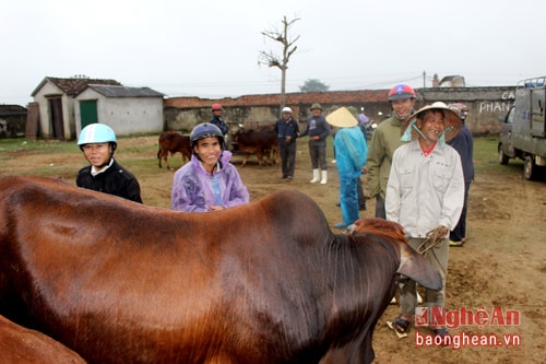 6. Giữa chợ bòđầu Xuân, rộn rã tiếng nói cười hả hê, không nói thách nhiều. Ông Nguyễn Đình Thông (61 tuổi) ở xóm Yên Bình, xã Thanh Yên (Thanh Chương) đến chợ bán bò từ sớm. Con bò đực của ông lớn nhất chợ, 22 triệu đồng mới bán và đã bán với giá đó, chỉ bớt vài trăm nghìn đồng.