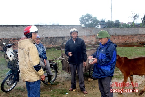 Dưới mưa phùn, sau những hồi kỳ kèo, phe phẩy, nhiều cuộc ngã giá thành công. Ảnh: Huy Thư.