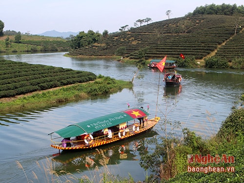 Du khách đi thuyền tham quan Đảo chè (Thanh Chương) - Ảnh: Huy Thư