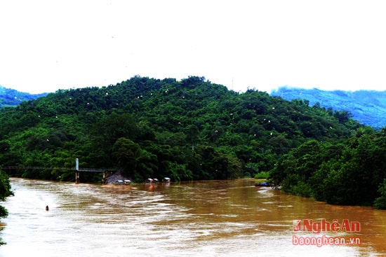 Hàng năm, khi mùa mưa đến, hàng ngàn con cò trắng lại bay về trú ngụ quanh khu vực đền Vạn (bản Cửa Rào, Xã Lượng, Tương Dương).