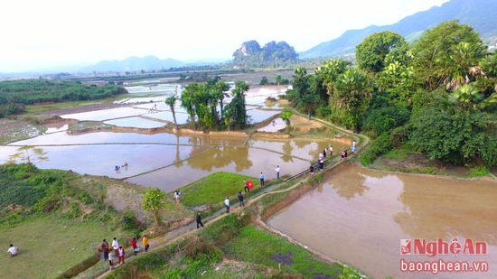 Náo nức ra đồng.