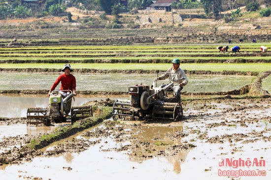 Đưa cơ giới hóa vào đồng ruộng.