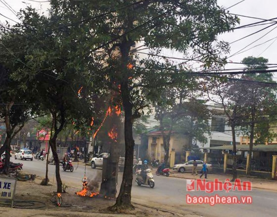 Sau khi phát ra tiếng nổ, cột điện bốc cháy dữ dội. Ảnh: Thành Cường.