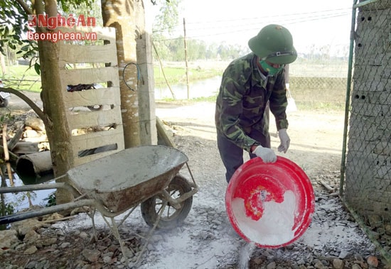 Nhiều hộ chăn nuôi tổ chức các biện pháp phòng chống dịch bệnh. Rải vôi bột trong và quanh khu vực chăn nuôi là một trong những giải pháp đó. Ảnh Thái Dương