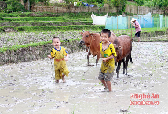 Trên miền núi của Nghệ An không chỉ có người lớn mà những đứa trẻ nhỏ cũng tham gia giúp bố mẹ “ốn na”. Trong ảnh, hai em nhỏ ở bản Na Khốm, xã Yên Na, huyện Tương Dương đang làm ruộng cho bố mẹ (ảnh chụp 2015). Ảnh Hồ Phương.
