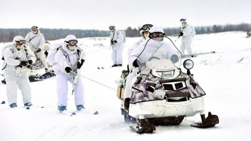 Lữ đoàn đầu tiên của Nga hoạt động ở Vòng Cực được thành lập trong khuôn khổ Hạm đội phương Bắc từ năm 2015. Lữ đoàn này đóng ở vùng Murmansk cách thủ đô Moscow khoảng  1.850km về phía Bắc. Quân đội Nga dự định thành lập một lữ đoàn như vậy ở vùng tự trị Yamalo-Nenets ở Siberia.