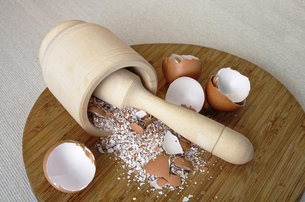  Bạn cũng có thể sử dụng bột vỏ trứng này cho chim ăn.