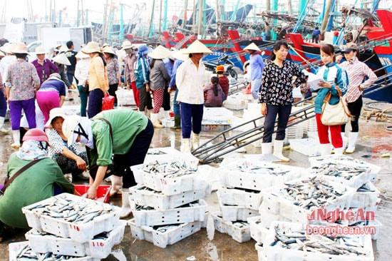 Hàng trăm phương tiện của ngư dân xã Tiến Thủy, Quỳnh Nghĩa cập cảng đang vận chuyển một lượng hải sản lớn xuống bến cho thương lái thu mua. Ảnh VH