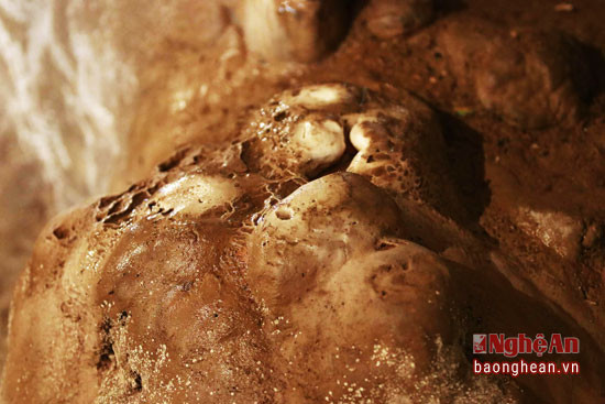 Tại hang Bua các nhà khảo cổ học từng tìm thấy các hóa thạch của nhiều loài động vật cổ xưa. 