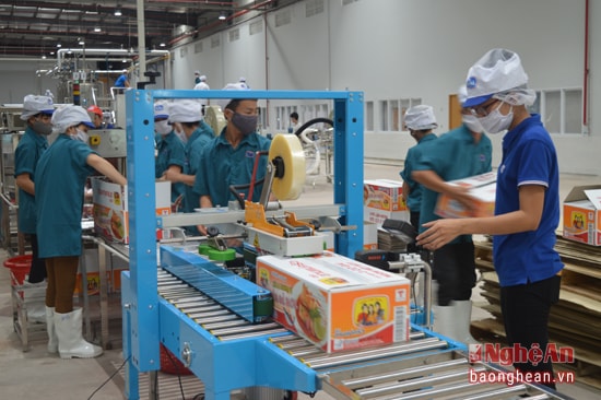 Packaging in Royal Foods plant.  Photo: LAM TUNG