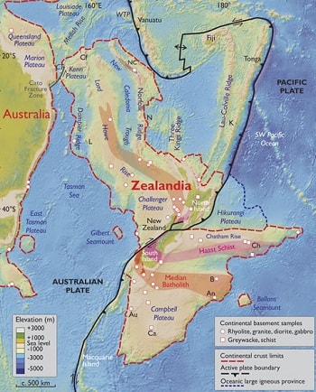 Bản đồ lục địa Zealandia. Ảnh: geosociety.org.