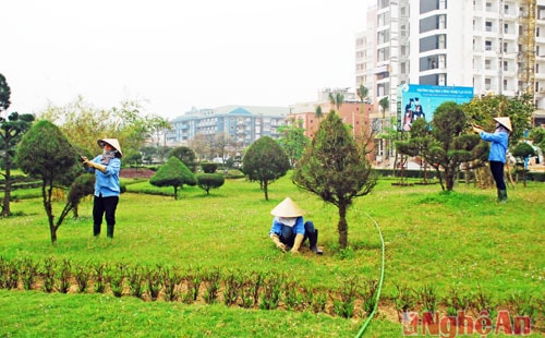 ông nhân Trung tâm cứu hộ và phòng chống thiên tai TX Cửa Lò chăm sóc khuôn viên, cây cảnh. Ảnh tư liệu