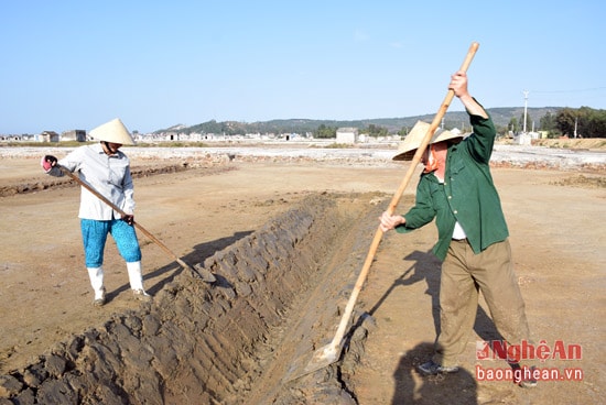 Vợ chồng ông Nguyễn Văn Lương, xóm 7, xã Quỳnh Thuận, huyện Quỳnh Lưu tu sửa mương, dẫn nước vào ô muối để chuẩn bị cho vụ sản xuất muối trong năm.