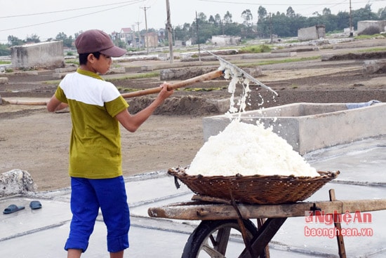 Giá muối trong tháng 2 này đã nhích  lên 1.500 đồng/kg, tạo điều kiện cho diêm dân trong tỉnh sản xuất, tăng thu nhập.