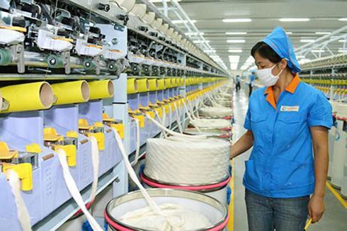 det may trong fta nen mua nguyen lieu ban thanh pham hinh 1