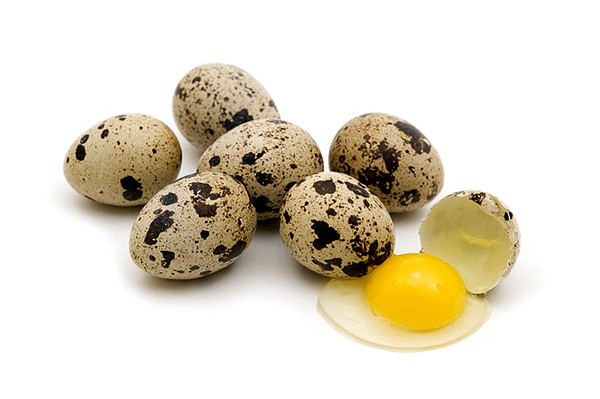Với lượng chất sắt dồi dào trong trứng chim cút, cùng khả năng kích thích sản xuất hemoglobin, trứng cút rất tốt cho những người thiếu máu.  Chất sắt cũng là khoáng chất thiết yếu không chỉ giúp tăng cường hệ miễn dịch mà còn cung cấp oxy cho các mô và cơ quan khác trong cơ thể.
