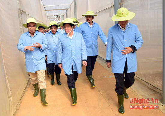 Đoàn đến thăm khu vực sản xuất cây giống chanh leo công nghệ cao, quy mô 5 ha, mỗi năm sản xuất 4 triệu cây giống chanh leo sạch bệnh. Ảnh Xuân Hoàng