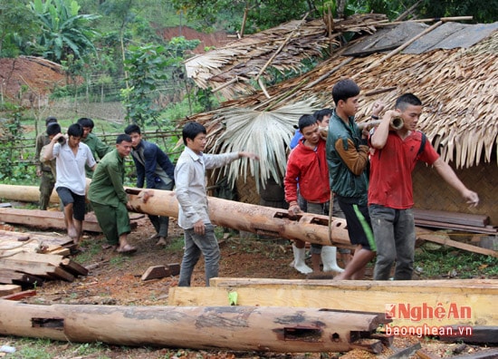 Những chiếc cột nhà sàn thường cao và to, muốn di chuyển nó cần sự góp sức của rất nhiều người.