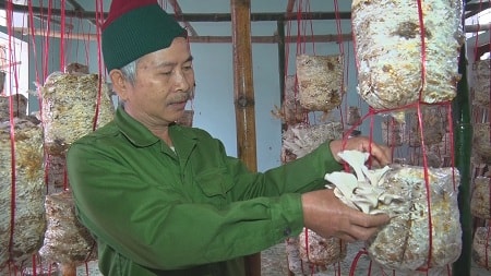 Mô hình trồng nấm tại xã Mậu Đức. Ảnh tư liệu