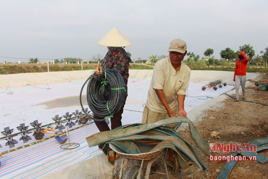 Xã Quỳnh Bảng là địa phương có diện tích nuôi tôm lớn nhất huyện với hơn 100 ha ao nuôi tôm tập trung ở các xóm Mai giang 1, Mai Giang 2, và vùng giáo xứ Lộc Thủy. Để chuẩn tốt các điều kiện thả nuôi tôm vụ 1, bà con đang khẩn trương xử lý ao nuôi, lắp đặt các hệ thống cần thiết. Ảnh: Việt Hùng