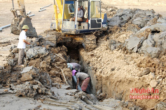 Đây là vụ đầu tiên, anh Hà Văn Cường cùng bạn bè từ huyện Yên Thành ra xã Quỳnh Bảng, huyện Quỳnh Lưu nhận thầu hơn 2 ha đất để nuôi tôm. Từ ao nuôi ban đầu, anh thuê máy móc đắp bờ, tạo thành nhiều ao để nuôi tôm. Ảnh: Việt Hùng