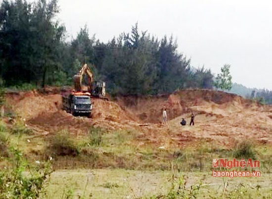 Mỗi ngày có tới hàng chục lượt xe ra vào bãi biển xúc cát trộm. Ảnh chụp ngày tại . Ảnh: Quỳnh Việt