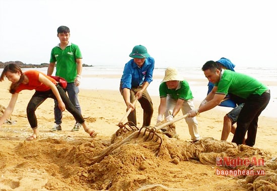 Đoàn viên, thanh niên huyện Nghi Lộc ra quân vệ sinh môi trường bãi biển. (Ảnh tư liệu)