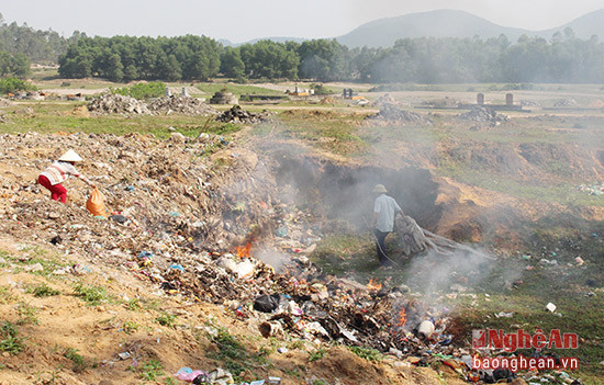 Bãi rác cây đa bến Nầy thuộc xóm 6 xã Nghi Công Bắc là nơi có người dân vứt gà bị chết bệnh với số lượng khá lớn.