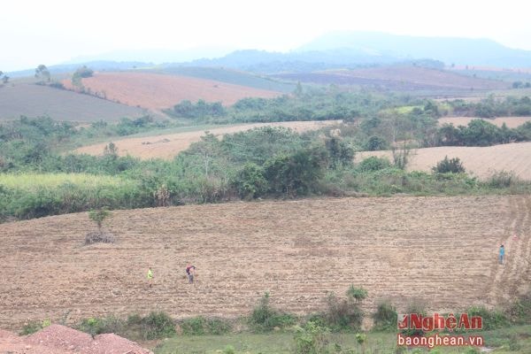 Khu đất đang tranh chấp.