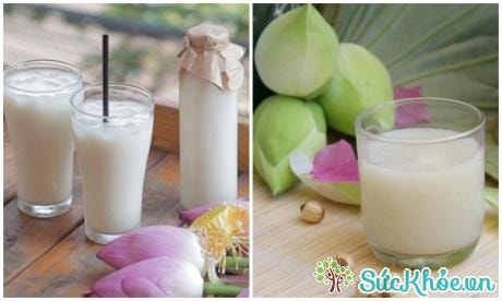 Cách nấu sữa hạt sen không khó.