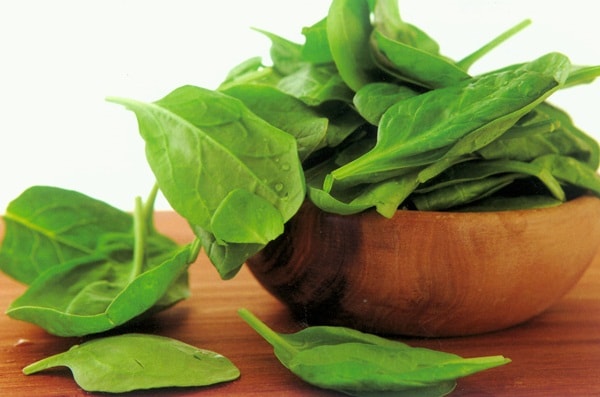 Rau chân vịt (rau bina)
